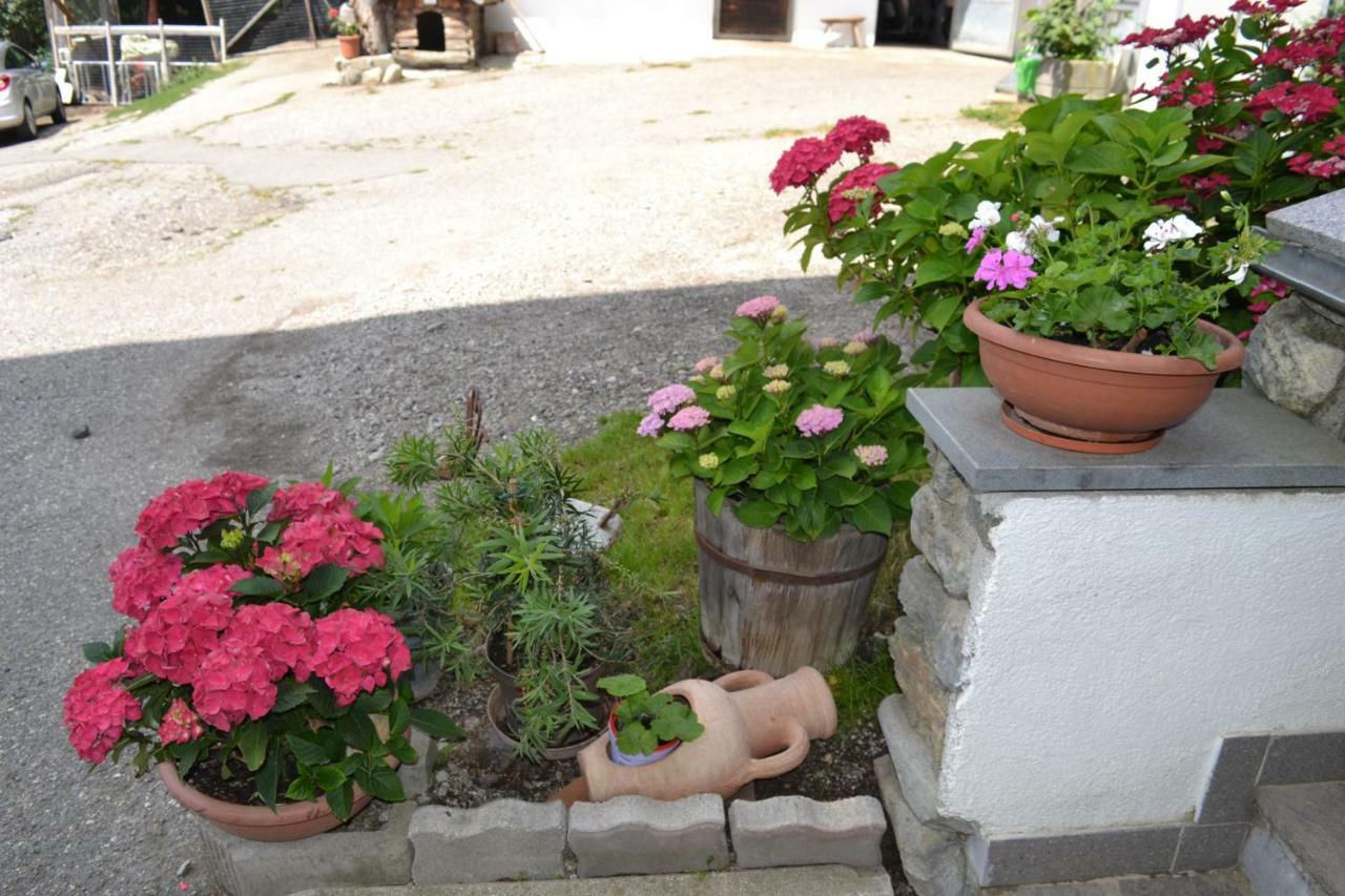 Gruberhof Apartman Rodengo Kültér fotó